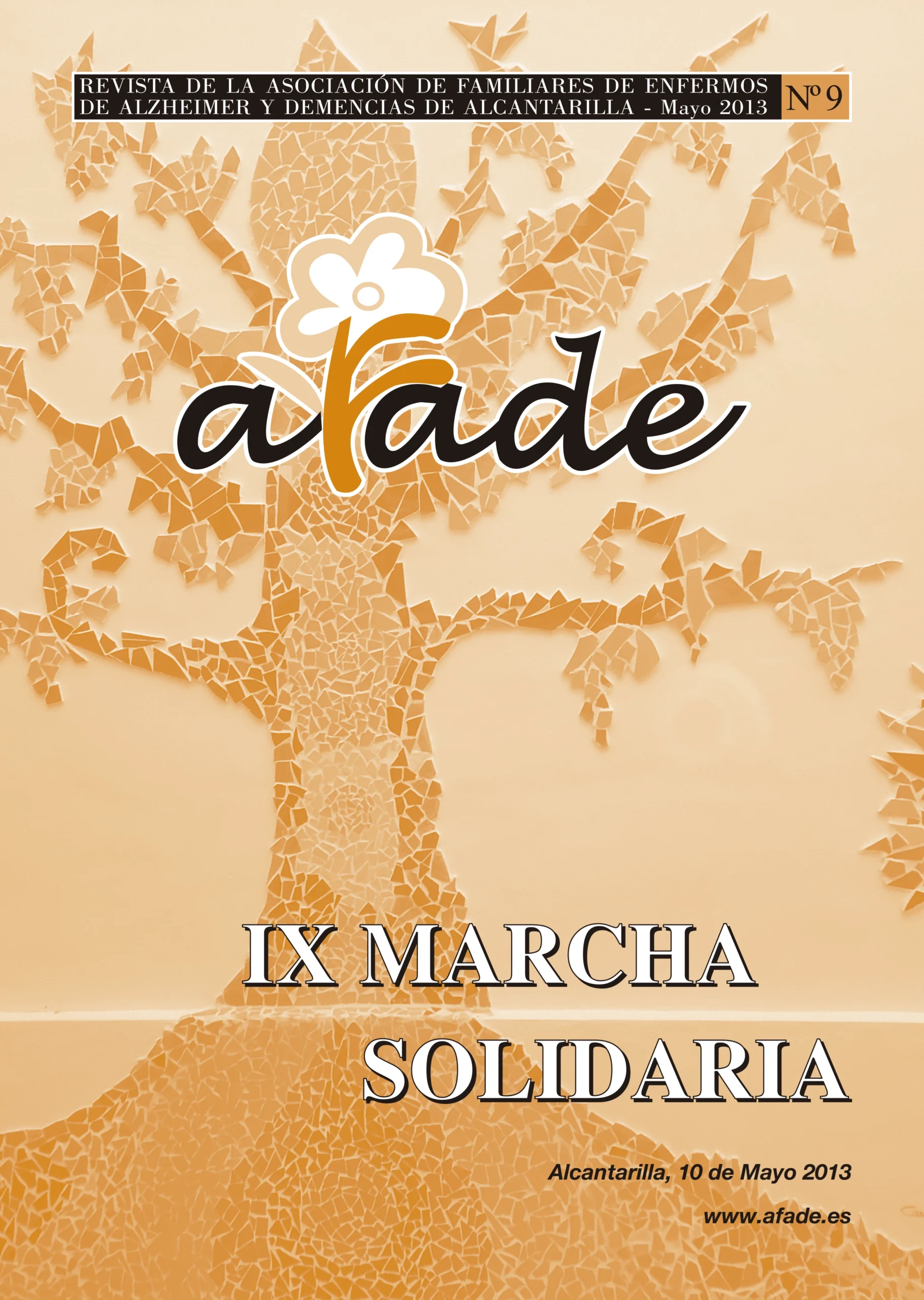 AFADE REVISTA 9 -2013
